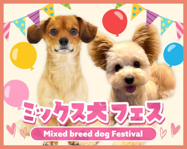 ＴＣＡ東京ＥＣＯ動物海洋専門学校