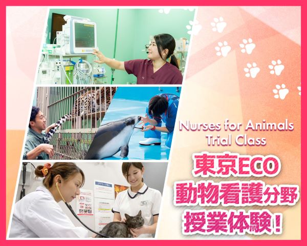 東京ECO動物看護分野授業体験！／ＴＣＡ東京ＥＣＯ動物海洋専門学校