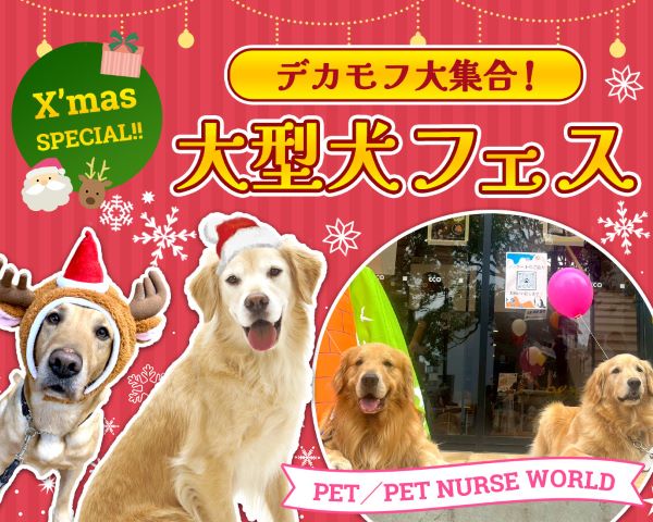 デカモフ大集合！大型犬フェス／ＴＣＡ東京ＥＣＯ動物海洋専門学校