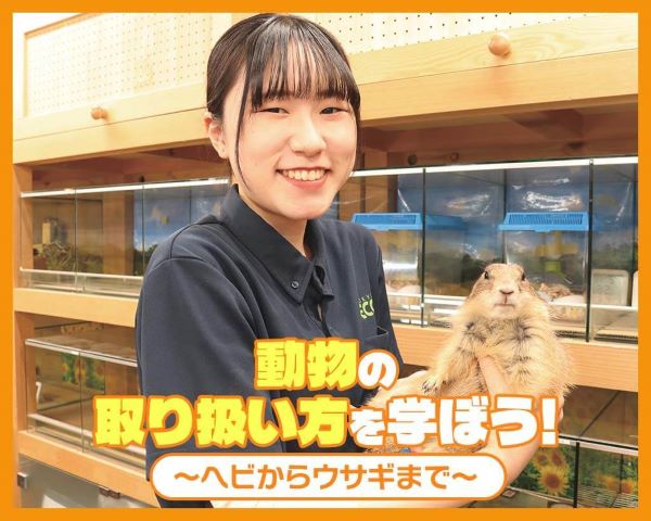 動物の取り扱い方法を学ぼう！～ヘビからウサギまで～／ＴＣＡ東京ＥＣＯ動物海洋専門学校