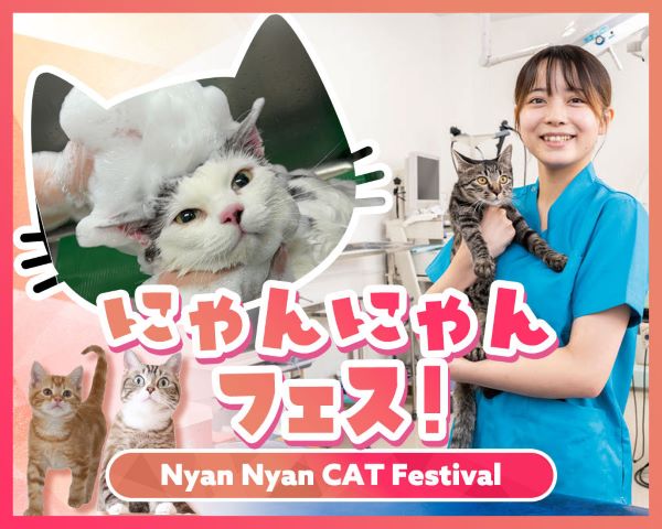 にゃんにゃんフェス！／ＴＣＡ東京ＥＣＯ動物海洋専門学校