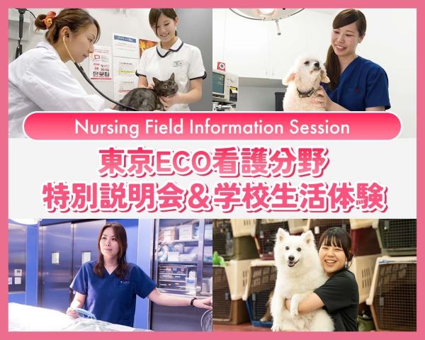 東京ECO看護分野特別説明会＆学校生活体験／ＴＣＡ東京ＥＣＯ動物海洋専門学校