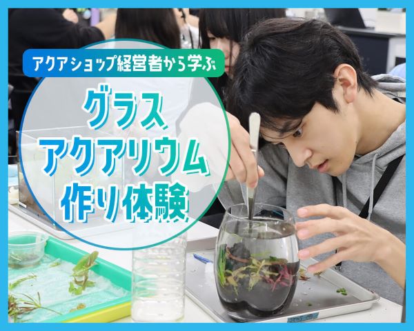 グラスアクアリウム作り体験／ＴＣＡ東京ＥＣＯ動物海洋専門学校