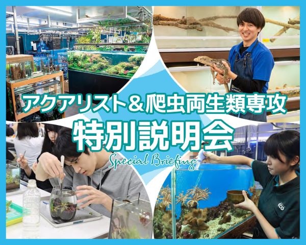 アクアリスト＆爬虫両生類専攻 特別説明会／ＴＣＡ東京ＥＣＯ動物海洋専門学校