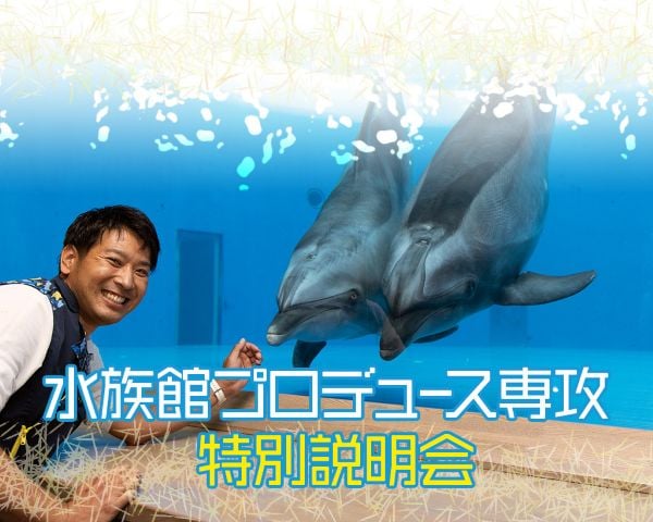 水族館プロデュース専攻 特別説明会／ＴＣＡ東京ＥＣＯ動物海洋専門学校