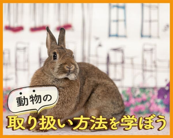 TCA東京ECO動物海洋専門学校