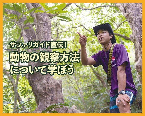 サファリガイド直伝！動物の観察方法について学ぼう／ＴＣＡ東京ＥＣＯ動物海洋専門学校