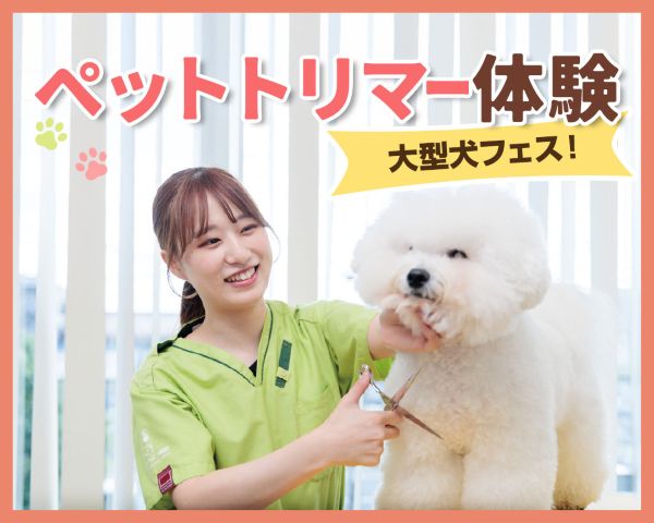 ペットトリマー体験／ＴＣＡ東京ＥＣＯ動物海洋専門学校