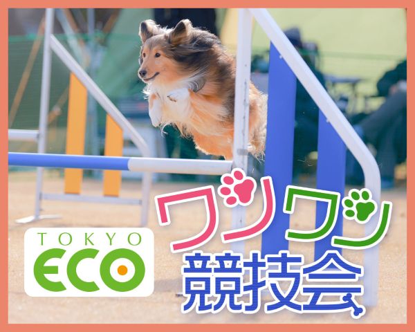 東京ECOワンワン競技会／ＴＣＡ東京ＥＣＯ動物海洋専門学校
