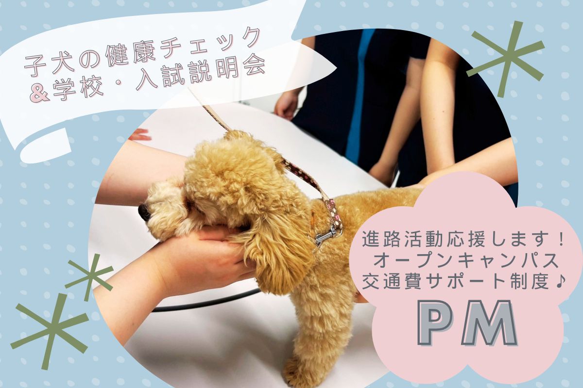 横浜動物専門学校