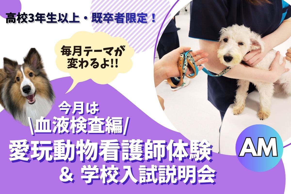 横浜動物専門学校