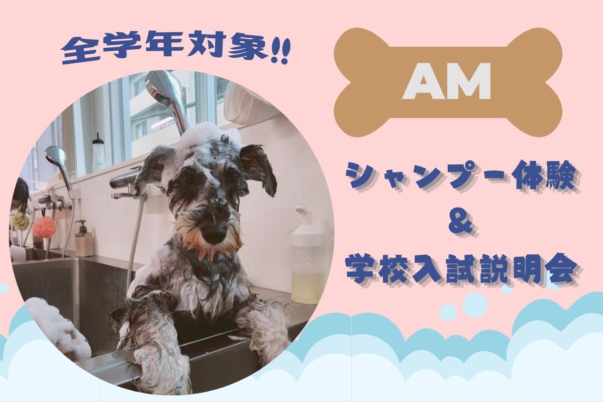 横浜動物専門学校