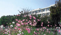 藤沢総合高等学校
