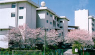 高知高等学校1