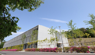 早稲田大学本庄高等学院1