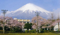 富士宮北高等学校