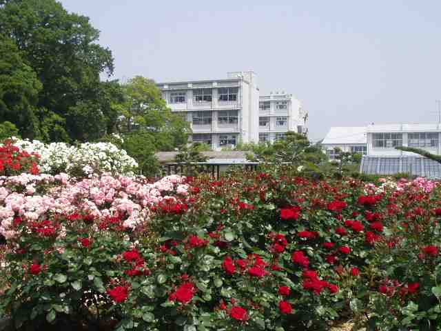 磐田農業高等学校
