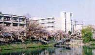 南山高等学校　女子部1