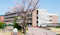 東大阪大学柏原高等学校1