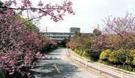 浦添工業高等学校