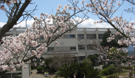 兵庫県立洲本実業高等学校