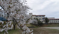 大野高等学校