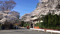 中央大学杉並高等学校1