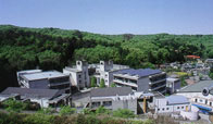 東海大学菅生高等学校1