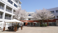 白鵬女子高等学校