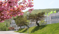 寿都高等学校