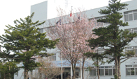 北海道奈井江商業高等学校