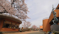 国立音楽大学附属小学校