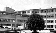 相模向陽館高等学校