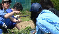 酪農学園大学附属とわの森三愛高等学校（通信制）1