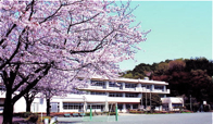 星槎高等学校1