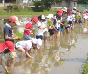 岡山県 高野小学校 2年生と5年生のみなさん2