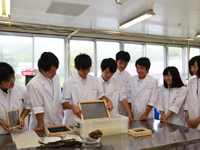 岩手県 遠野緑峰高校 生産技術科草花班のみなさん2