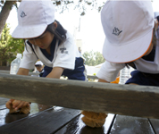 静岡県 東海大学付属小学校 全児童のみなさん3