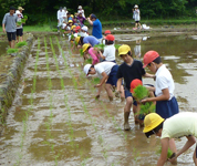 熊本県 芦北町立大野小学校 児童のみなさん4