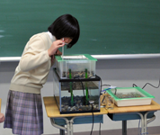 東京都 小野学園女子中学校 ホタル自生研究室のみなさん2