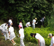 東京都 小野学園女子中学校 ホタル自生研究室のみなさん4
