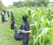 青森県 三本木農業高校 植物科学科のみなさん2