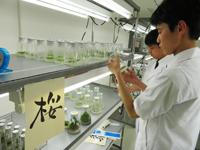 宮城県 宮城県農業高等学校 科学部のみなさん1