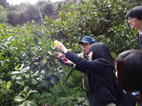 静岡県 熱海高校 ビジネス観光類型のみなさん2