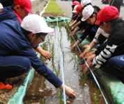 北海道 白老町立萩野小学校 5年生のみなさん2