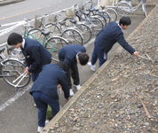 茨城県 結城市立結城中学校 女子バレーボール部のみなさん3