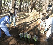 静岡県 田方農業高校 造景部のみなさん2