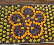 福岡県 福岡農業高校 食品科学科梅研究班のみなさん4