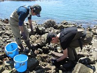 宮城県　志津川高校　自然科学部のみなさん3