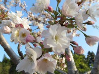 宮城県 宮城県農業高校 科学部のみなさん1